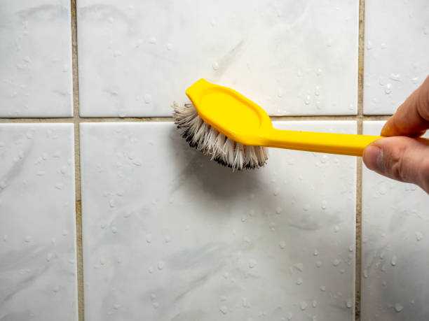Best Black Mold Removal  in Offutt Af, NE