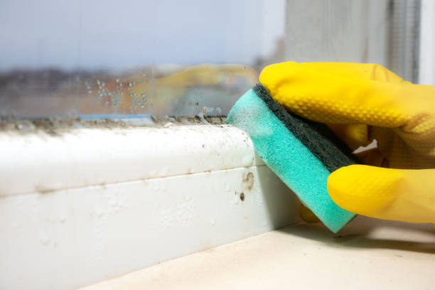 Mold Testing and Removal in Offutt Af, NE