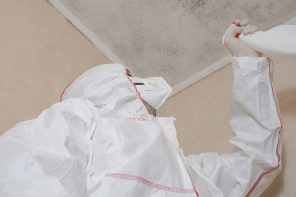 Best Mold Testing and Removal  in Offutt Af, NE